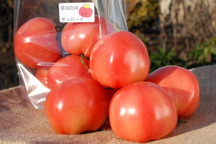 *小袋(600g)…398円(税別) 旬…12月〜7月半ば 栄養…カロテン、カリウム等 食べ方…生のまま。角切りにしてオリーブ油、塩胡椒でサラダにも。