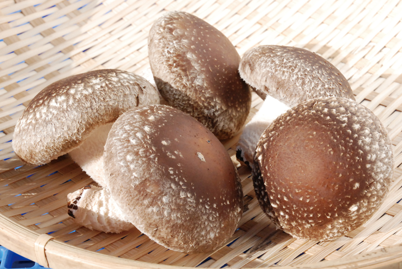 *生しいたけ…1袋 280円〜(税別) 旬…9〜5月 栄養…ビタミンD、ビタミンB1等 食べ方…ソテーやアヒージョがオススメ