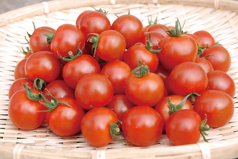 *ミニトマト 1パック160g 150〜180円(税別) 時期…12〜7月中旬 食べ頃…3〜4月 栄養…カロテン、カリウム、マグネシウム等 食べ方…生がオススメ