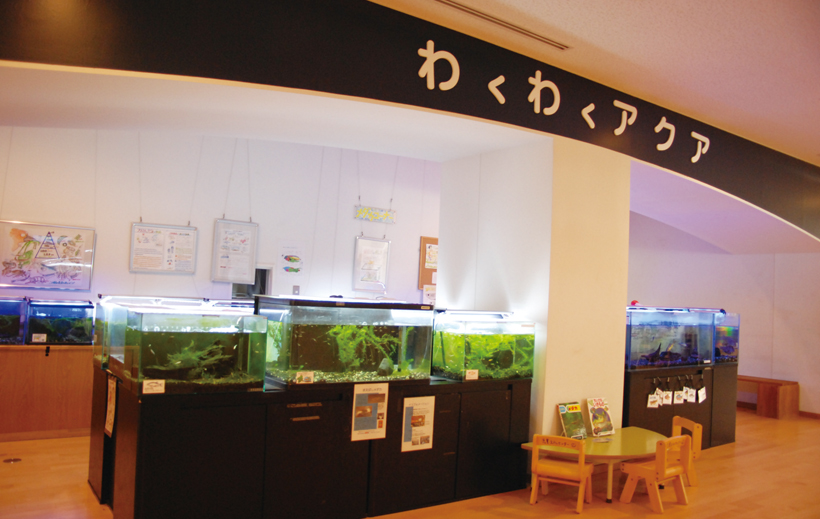 *川や沼のいろいろな生き物を観察できるわくわくアクア