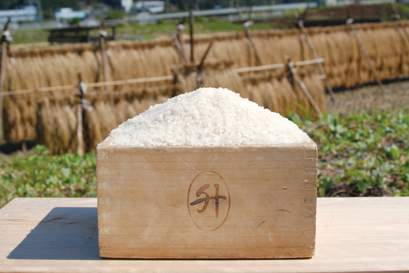 *はんでえ米 1kg 500円(税込)、玄米 1kg 400円(税込) 食べ方…炊きたてをそのまま、おむすびなど 栄養…炭水化物、たんぱく質、食物繊維等 時期…新米は10月末から販売